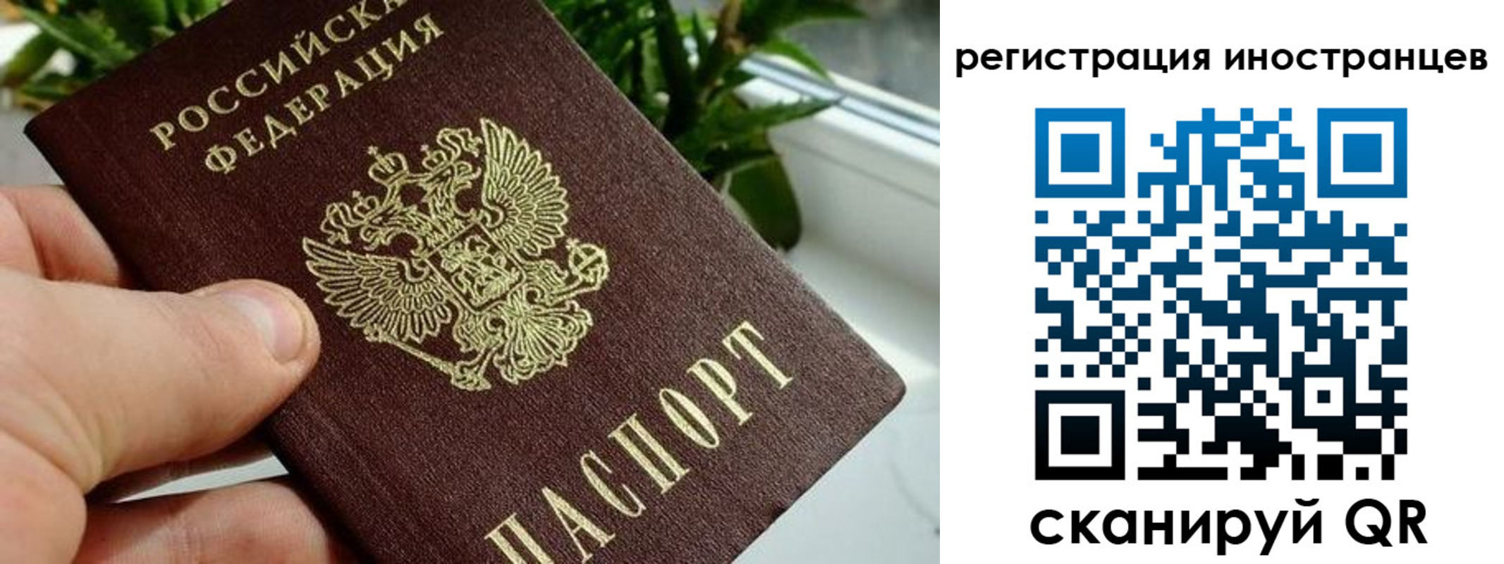 регистрация в Свободном